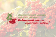 IMG_2878.jpg